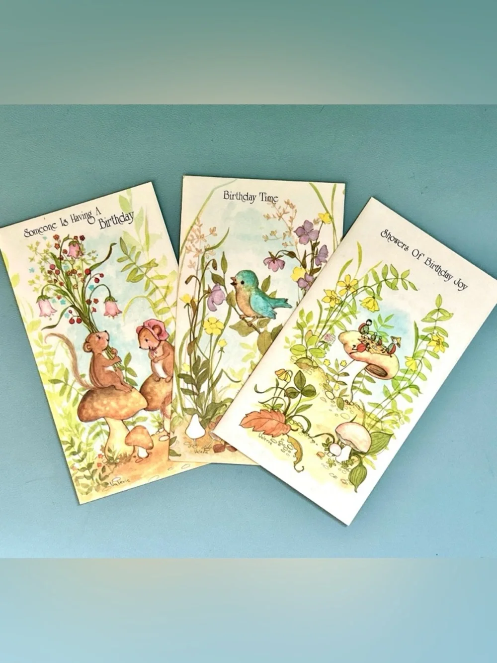 Vintage Birthday Cards in Original Box 1970s Children’s Kid’s Chipmunk Lady Bugs